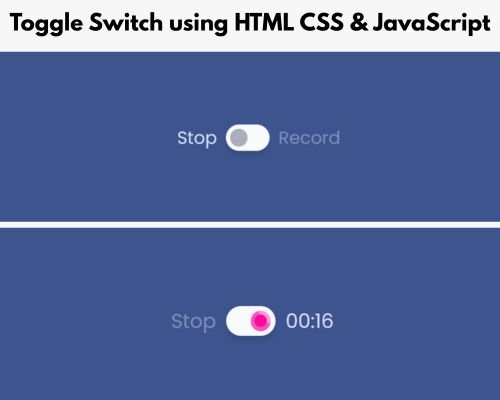 Toggle Switch